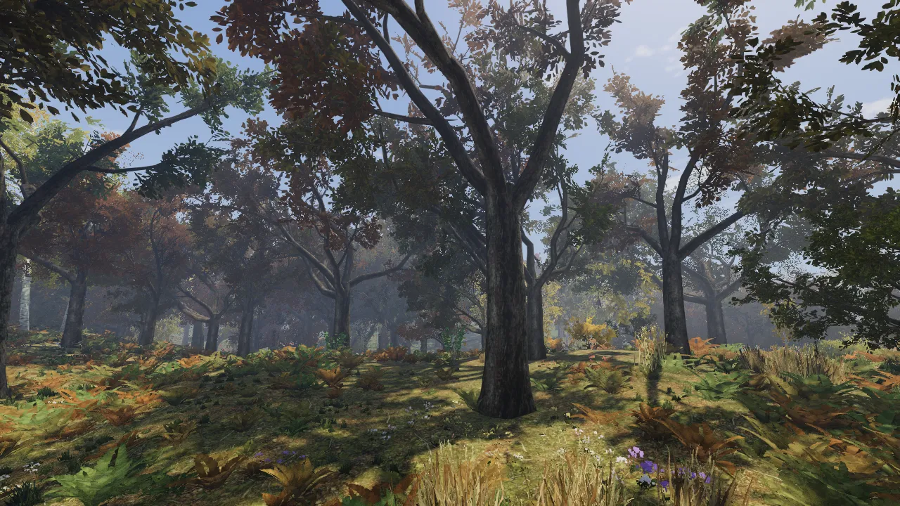 Derselbe Wald im Herbst mit buntem Laub.